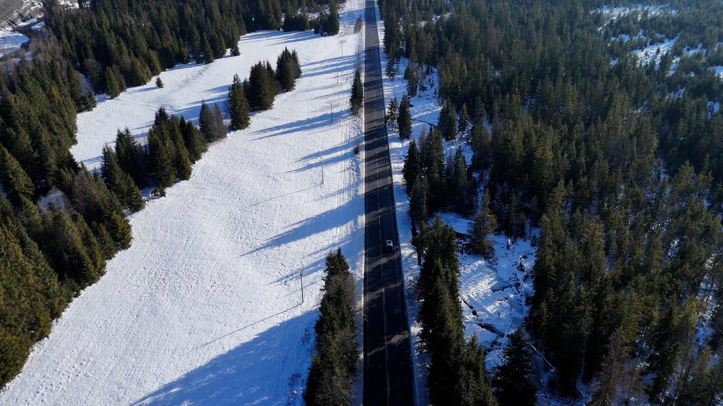 Winter Forest Road Reveal, Tatra Mountains, Poland