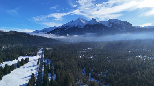 Tatra Mountains Side Movement, Poland