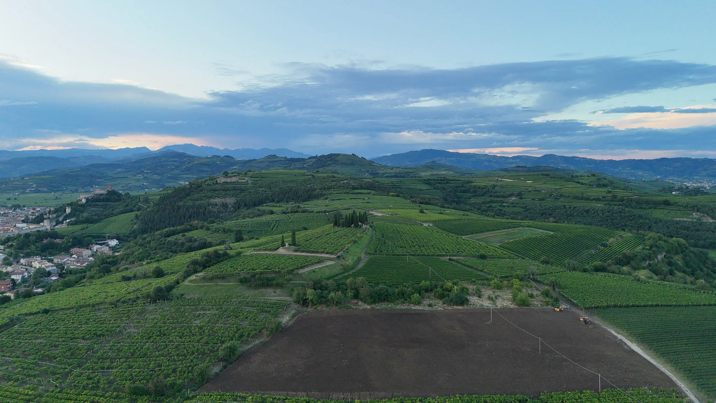 Vineyards Aerial, Soave Hills, Italy