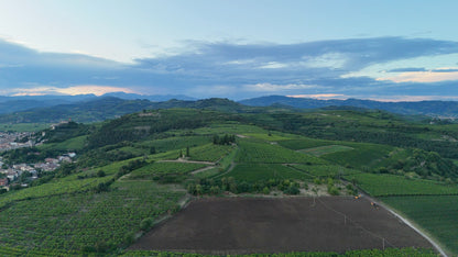 Vineyards Aerial, Soave Hills, Italy